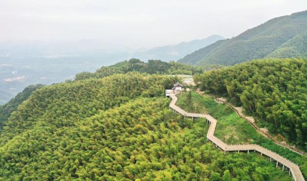 径山古道