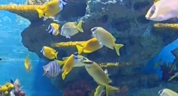 千岛湖海洋馆