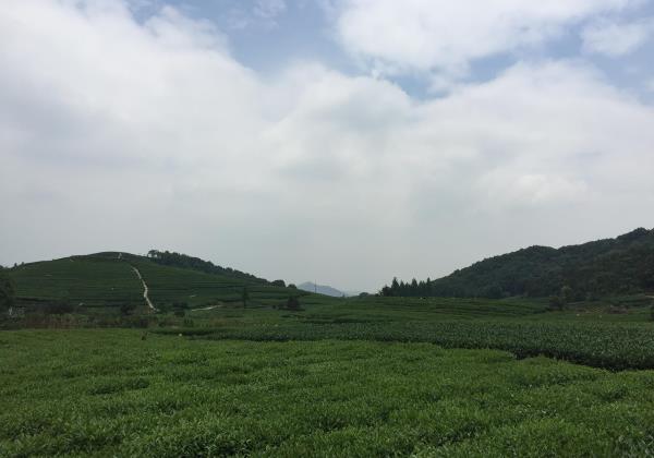 杭州大清谷