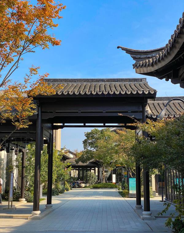 桃李春风