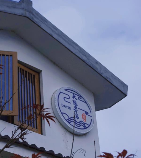 大隐寻汤碳酸温泉