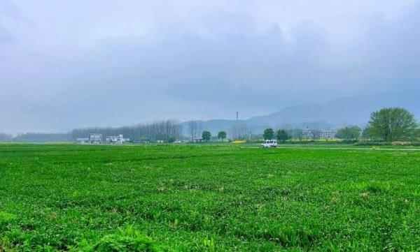 富阳桐洲岛露营地