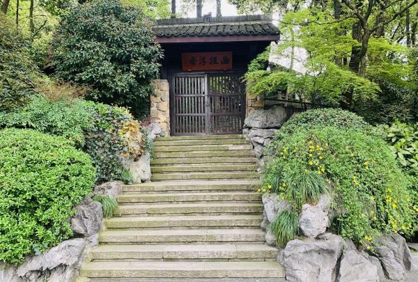龙井山园茶文化村