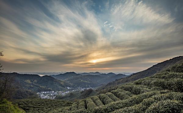 西湖龙井茶文化景区