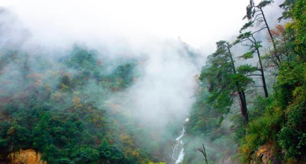 天目山景区