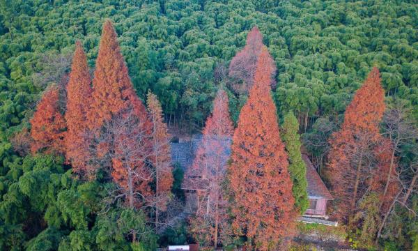 莫干山风景名胜区