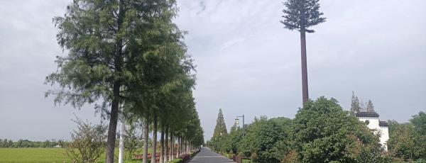 林渡暖村