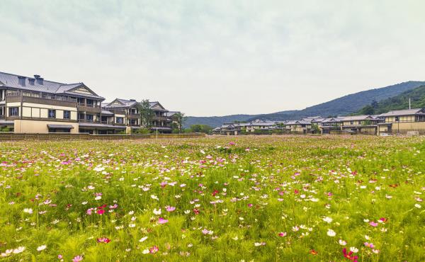 拈花湾景区-无门关