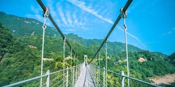 龙麒源