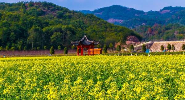 花园村景区
