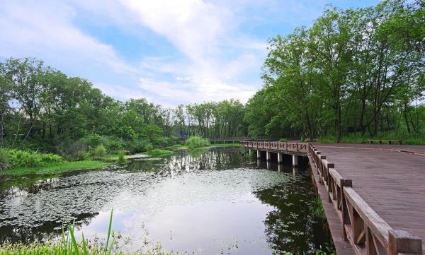 九龙国家湿地公园