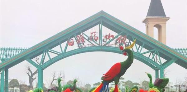 鲜花小镇