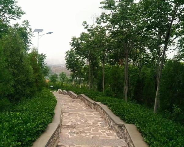 白马山森林公园