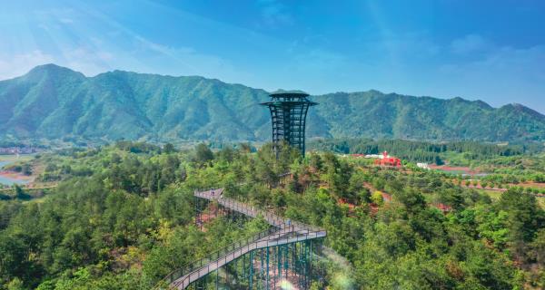 千岛湖湖上森林度假乐园