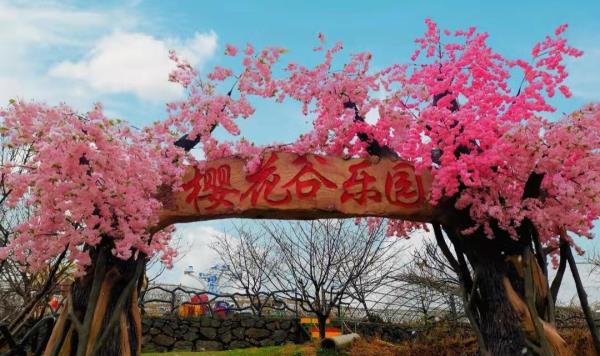 杭州樱花园