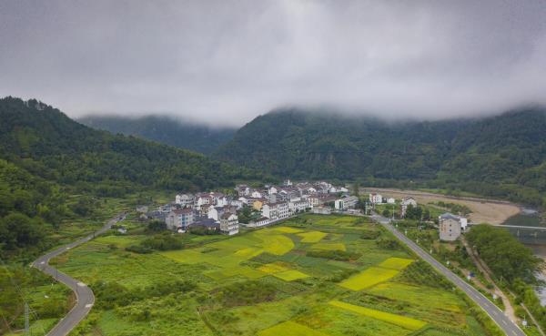 淡竹原始森林风景区