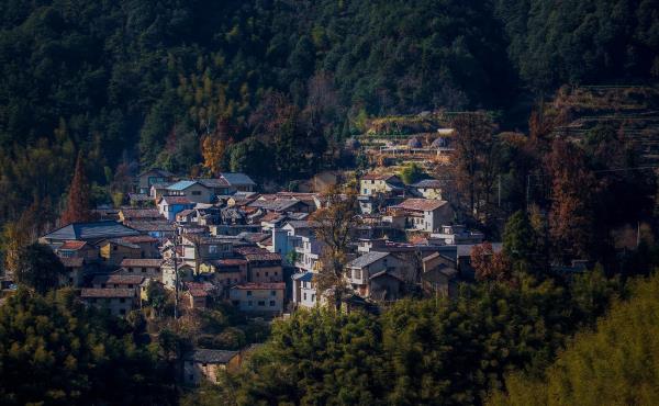 西坑村