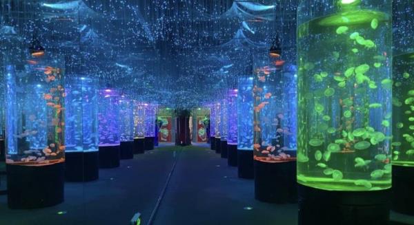 金华万泰海立方海洋公园