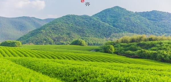 龙池山自行车公园