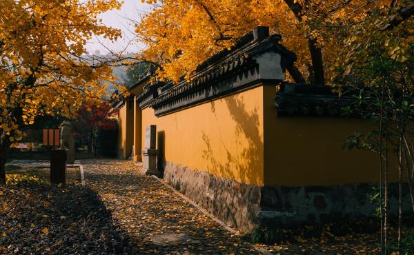 紫金庵