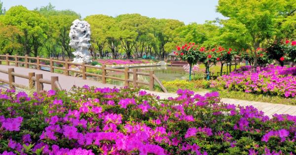 三国水浒景区(中央电视台无锡影视基地)