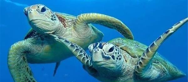 南通海底世界