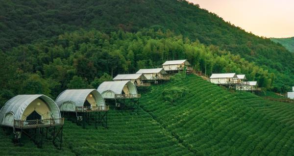 境见茶野里野奢帐篷露营地