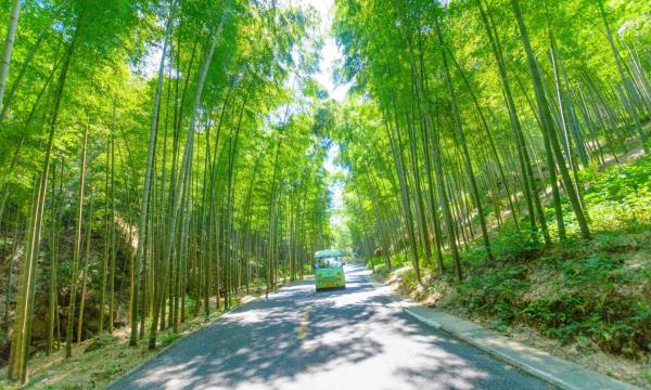 宜兴竹海
