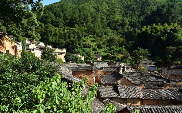 杨家堂村