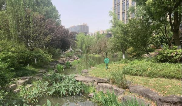 青林湾公园