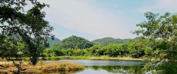 麻滩钓鱼场