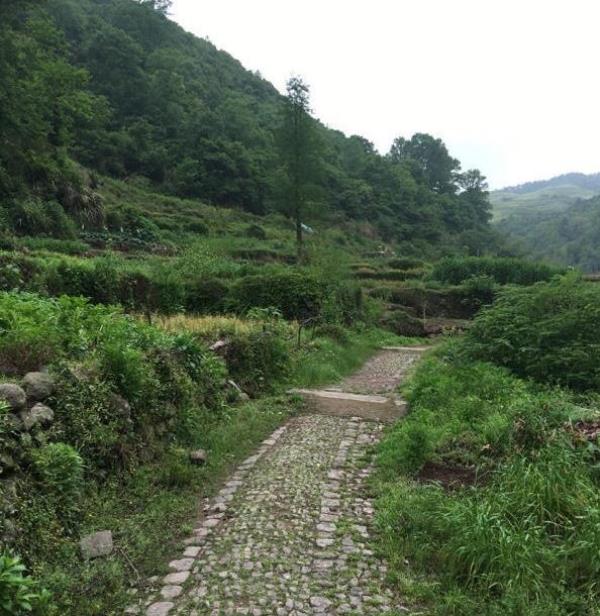 寻芝岭古道