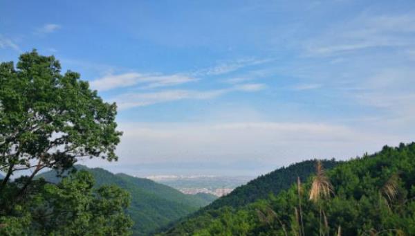 瞻歧大岭