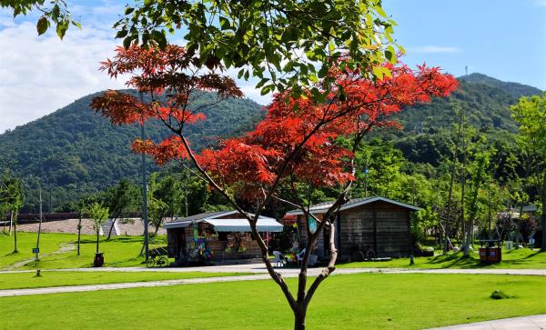 荪湖村公园