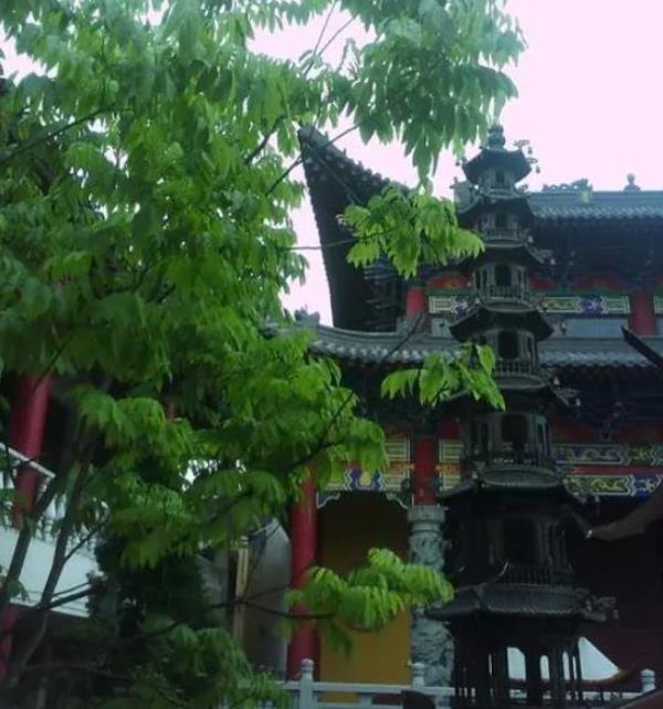 宁海紫观寺