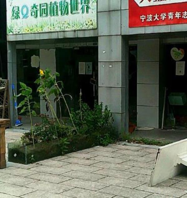 绿Q奇园植物世界
