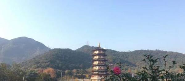 芝水滩景区