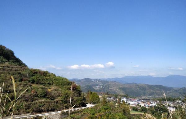 南山章村