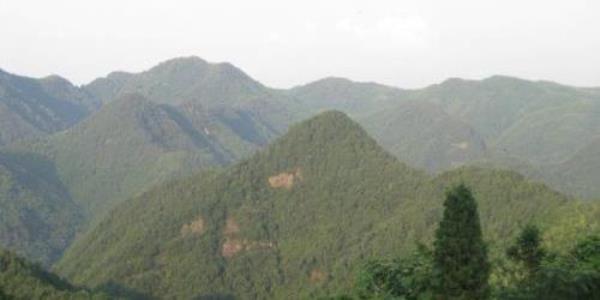 尖峰沐阳