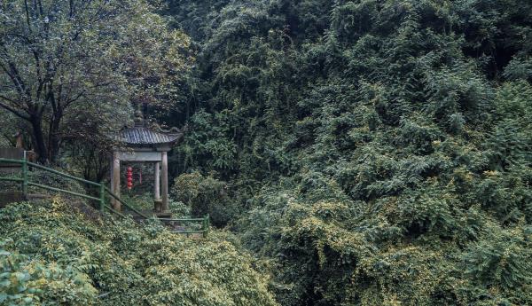 凤鸣山