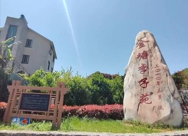 金塘李子苑