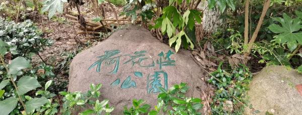 荷花庄公园