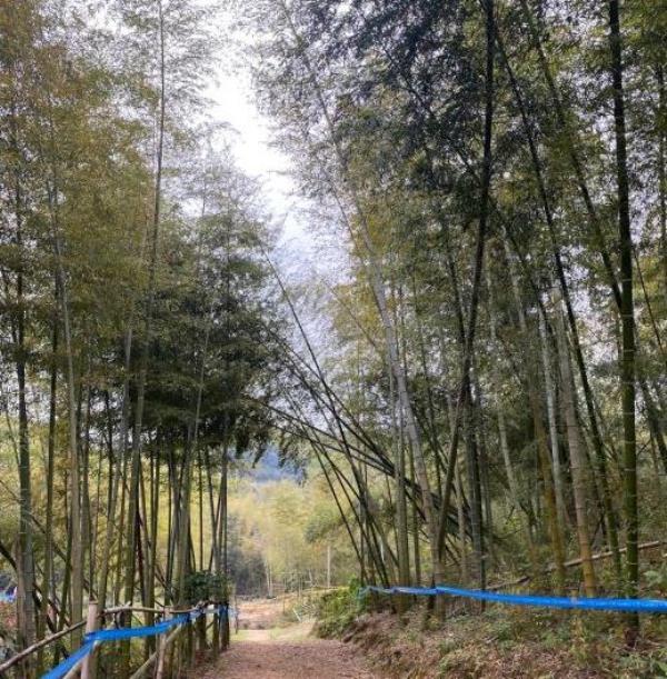 江北区慈城镇南联村村委会旁