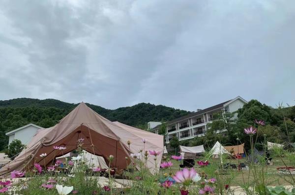 栖野向阳