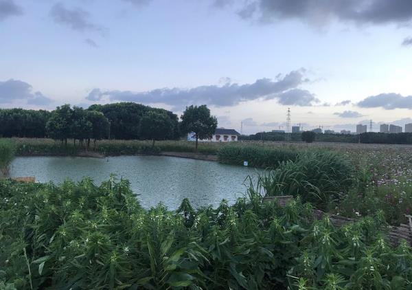 永旺村休闲公园