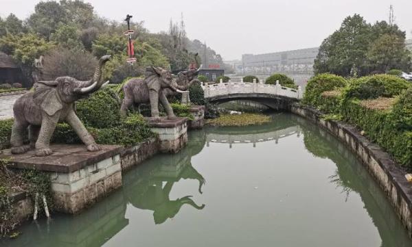 双虹落彩