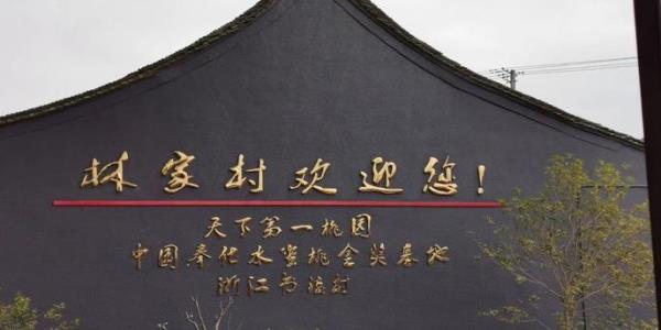 中国奉化水蜜桃金奖基地