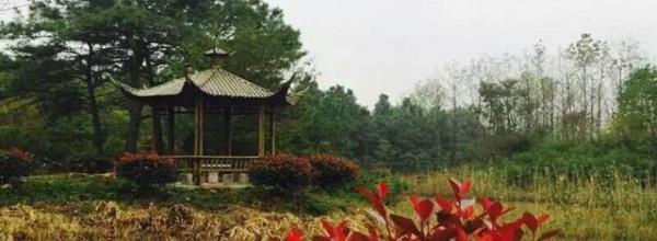 宁波九塘公园