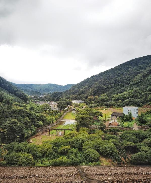 金峨村