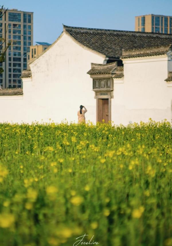 奉化江东岸花海公园